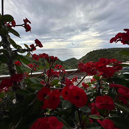 Selami Sea View Apartments Lukovë Екстериор снимка