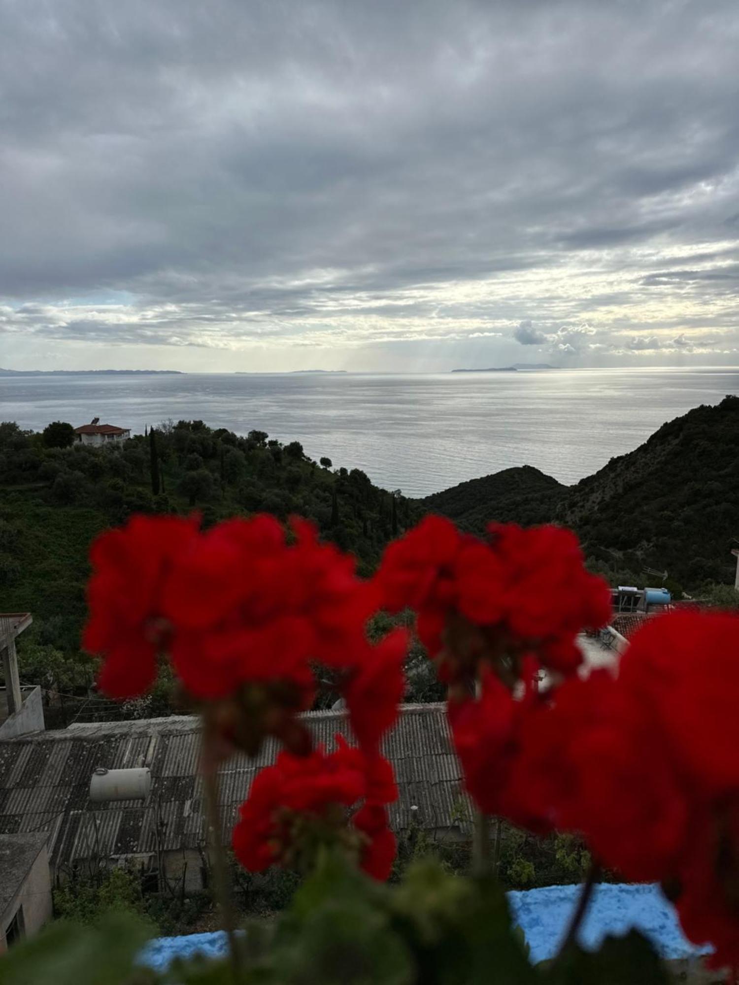 Selami Sea View Apartments Lukovë Екстериор снимка