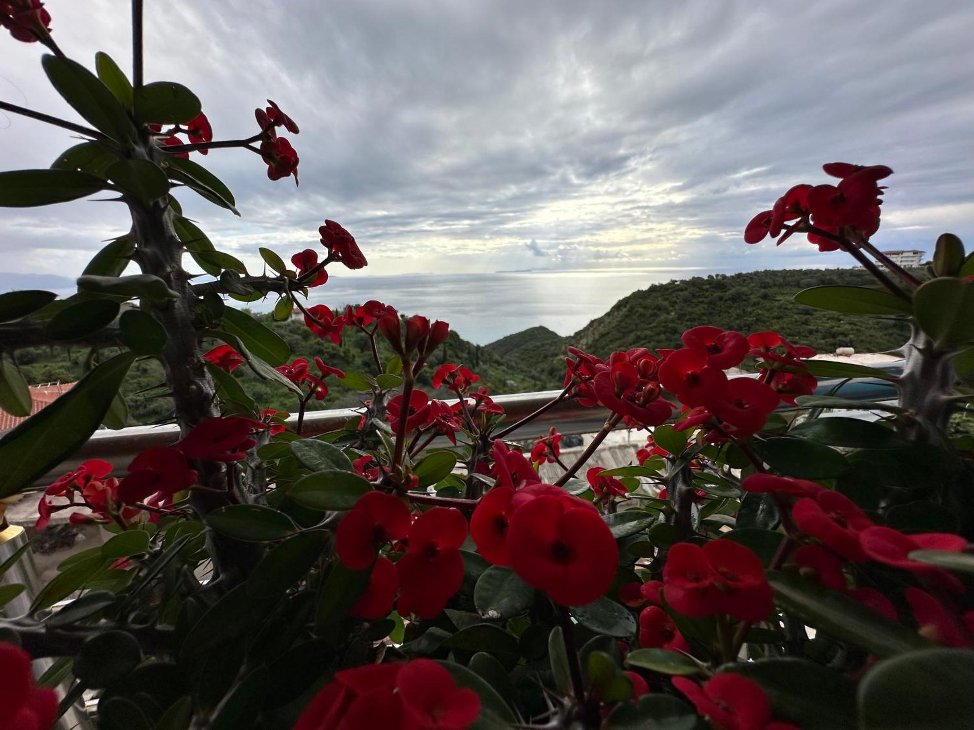 Selami Sea View Apartments Lukovë Екстериор снимка
